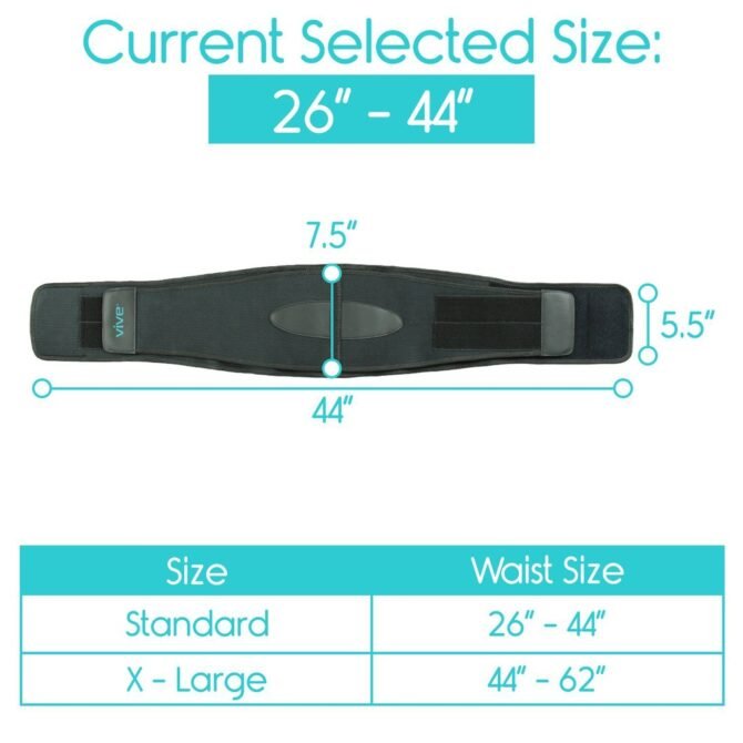 Back Brace - Image 4